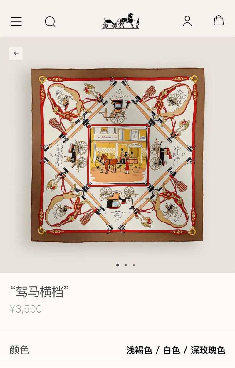 Hermes Scarf